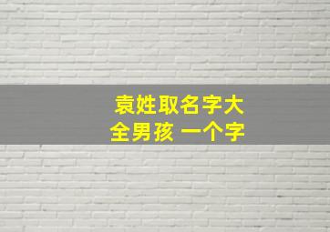 袁姓取名字大全男孩 一个字